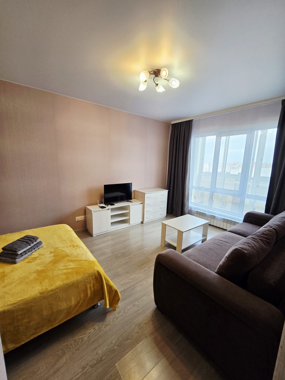 Трёхместный и более, Апартаменты На пр-те Московском 2б