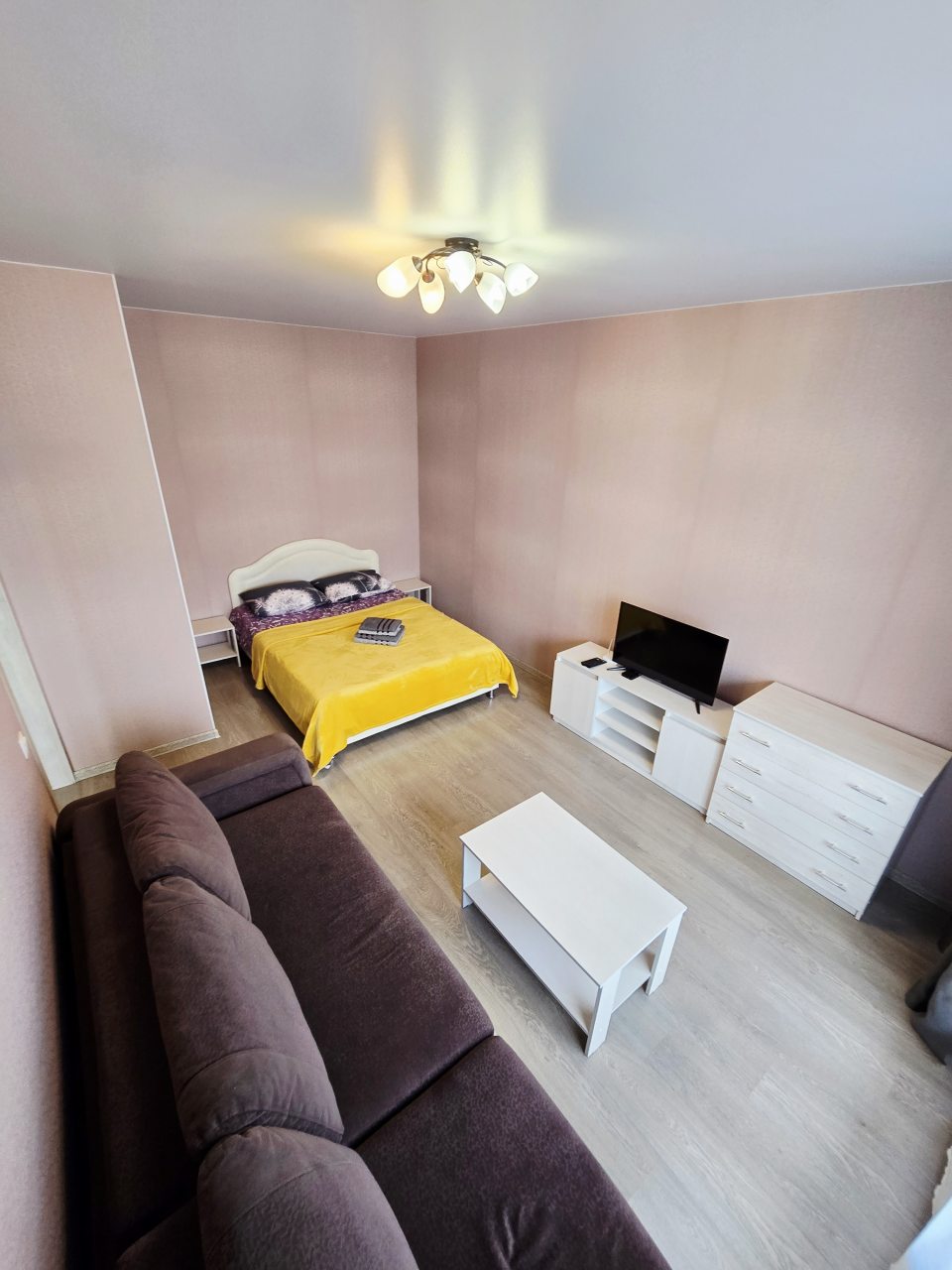 Трёхместный и более, Апартаменты На пр-те Московском 2б