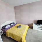 Трёхместный и более, Апартаменты На пр-те Московском 2б