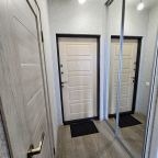 Трёхместный и более, Апартаменты На пр-те Московском 2б