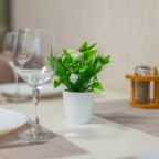Улучшенный (Апартаменты RentPlaza c шикарным видом на город), Апартаменты RentPlaza на Революционной