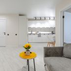Люкс (Апартаменты RentPlaza евродвушка в современном ЖК), Апартаменты RentPlaza на Революционной