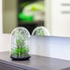 Апартаменты (RentPlaza на Гая 20), Апартаменты RentPlaza на Гая