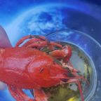 Все для самостоятельного приготовления пищи, Гостевой дом Банный край
