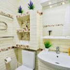 Апартаменты (В центре Москвы (224)), Апартаменты С видом на Москву