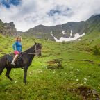 Конный прокат, Гостевой дом Шале Хвоя