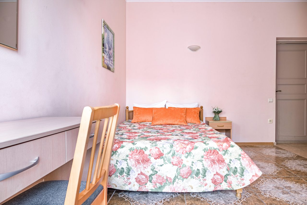 Двухместный (Стандартный двухместный номер с 1 кроватью) гостевого дома Прованс, Сочи