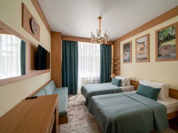 Фотография номера гостиницы Дворец Нарзанов