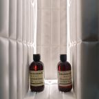 Трёхместный и более (Янтарь), Апартаменты Lux с террасой в центре Москвы