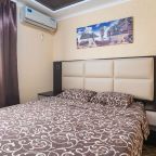 Люкс (FAMILY ROOM , 4 (2х комнатный)люкс), Отель Анютины Глазки