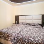 Люкс (FAMILY ROOM , 4 (2х комнатный)люкс), Отель Анютины Глазки