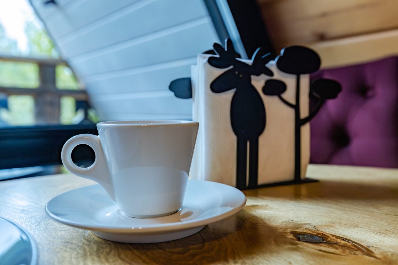 Коттедж (A-frame), Спа-отель Дворцы