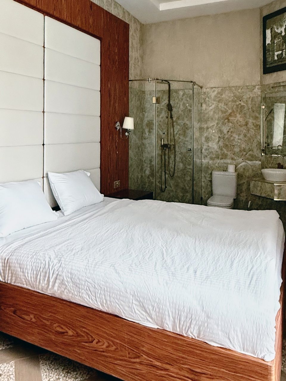 Двухместный (Стандарт GABRIEL), Отель Malakhovka palace