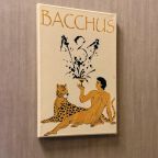 Апартаменты (DIONIS), Отель Malakhovka palace