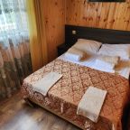 Двухместный (Стандартный номер без балкона), Гостевой дом Светлый