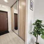 Шкаф-купе с зеркалом во весь рост