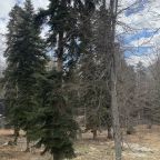 Объект находится в лесу, Гостевой дом Potap
