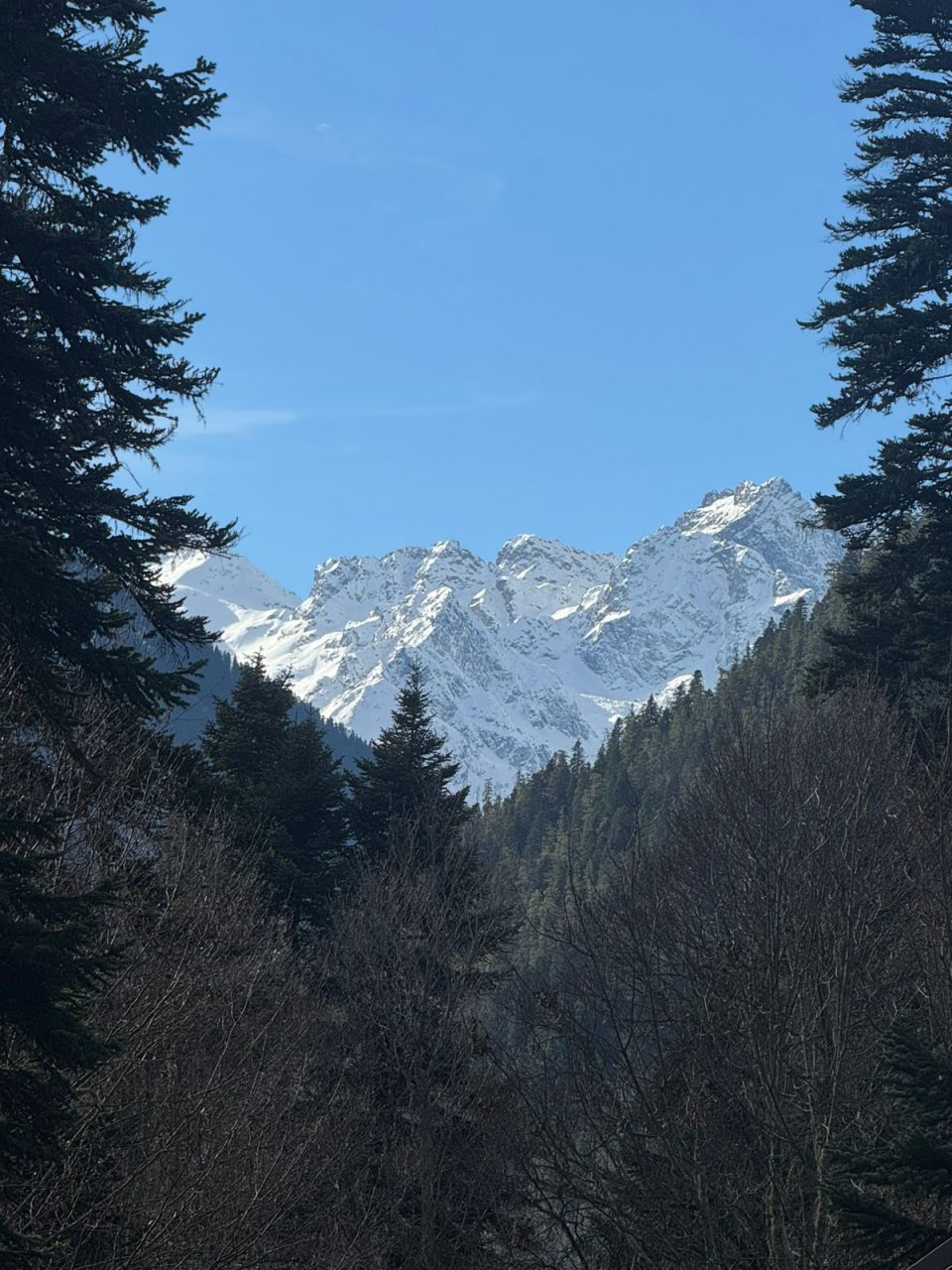 Вид с балкона