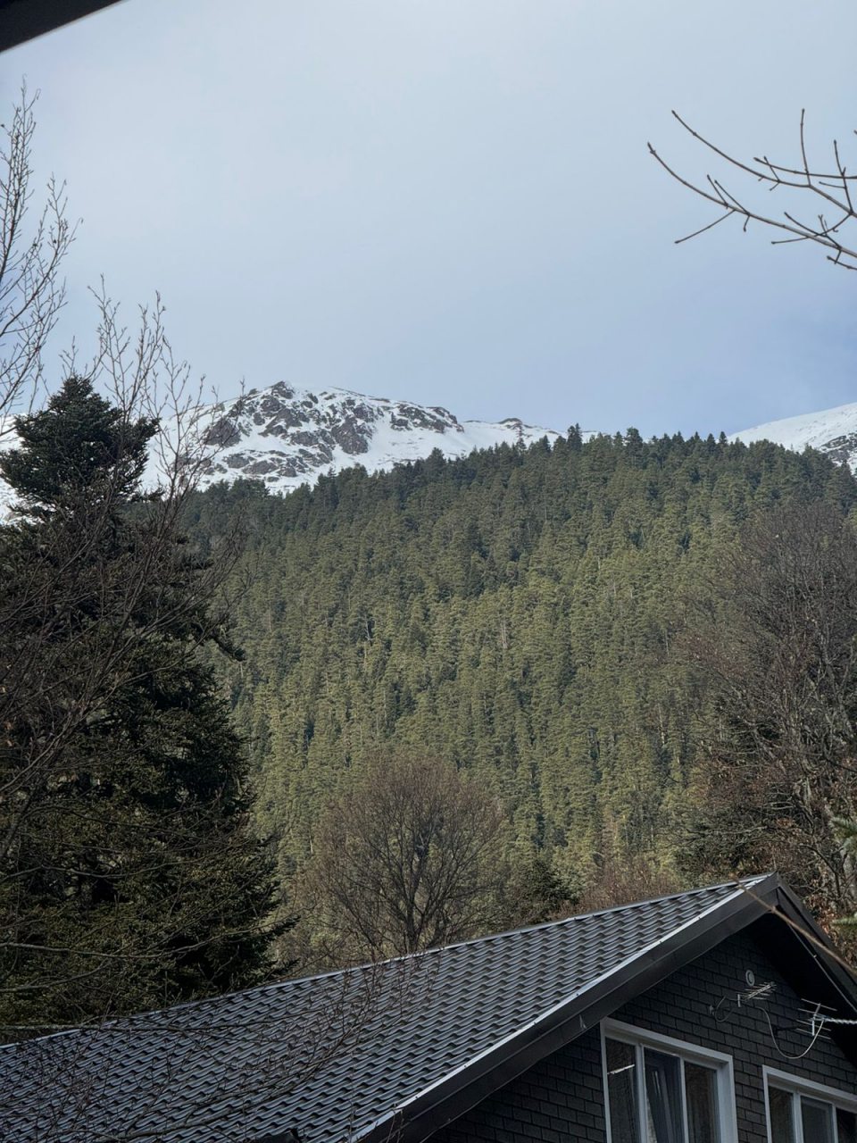 Вид с балкона