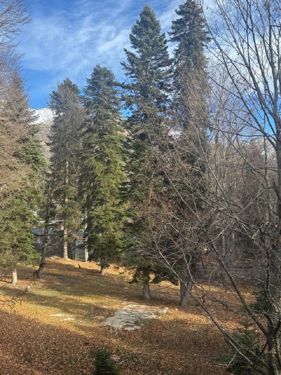 Вид с балкона