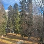 Вид с балкона