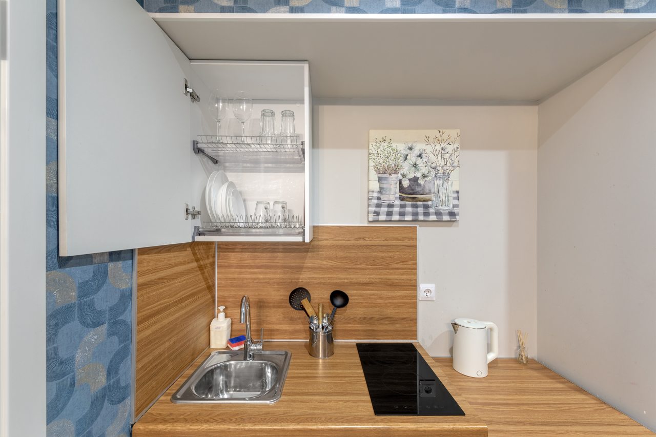 Апартаменты (LUX с двухспальной кроватью (№5)), Апартаменты VEDA Aparts Обводный 132