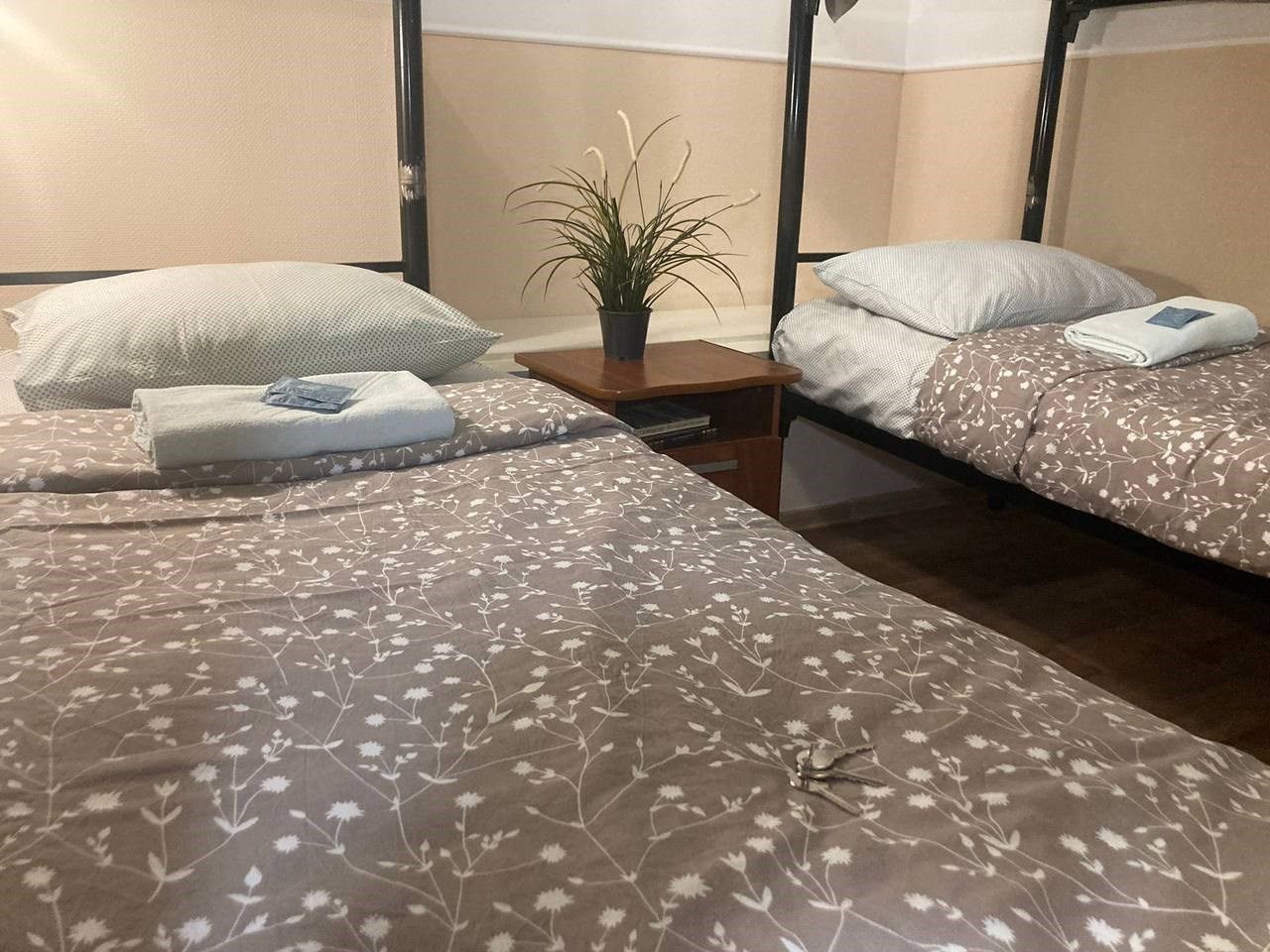 Четырехместный Мужской, Гостевой дом Типичный Питер на Итальянской