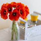 Апартаменты (Spring), Апартаменты Современная однушка в отличном районе Калининграда