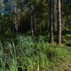 Территория