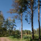 Тихое место