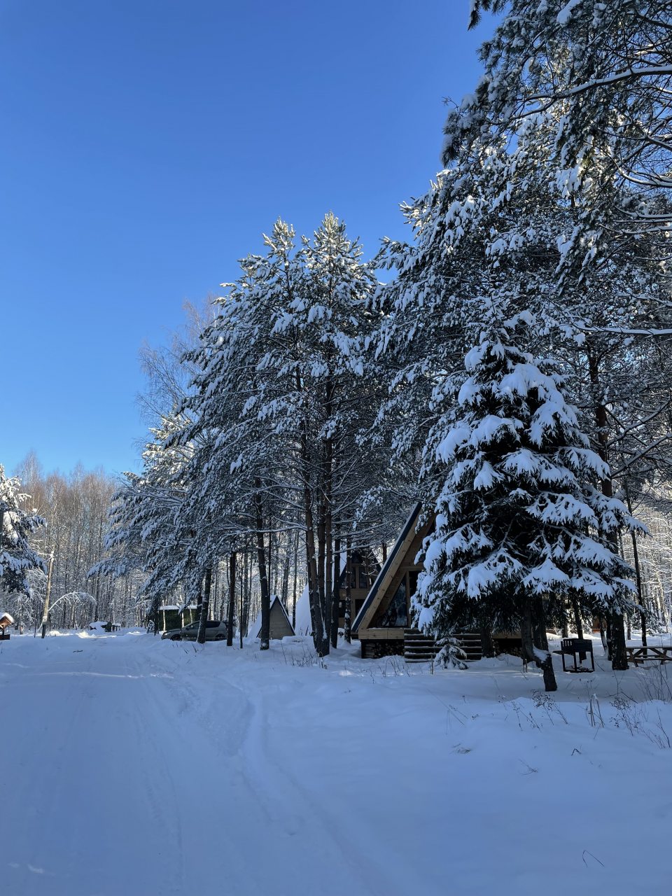 Дом (A-Frame №1 (с купелью)), База отдыха Les Holidays