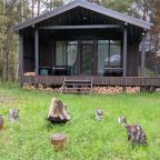 Коттедж (BarnHouse №9 (без купели)), База отдыха Les Holidays