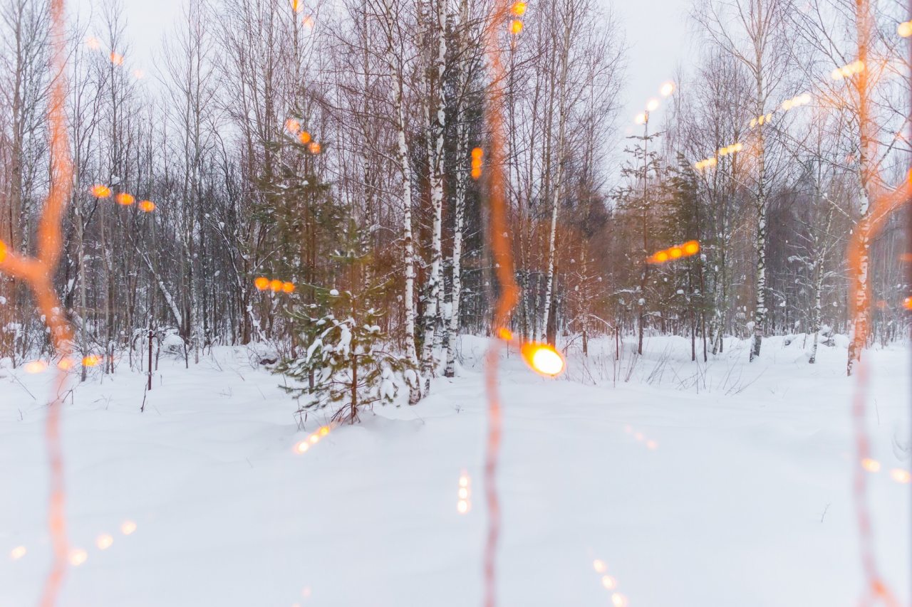 Коттедж (BarnHouse №10 (без купели)), База отдыха Les Holidays