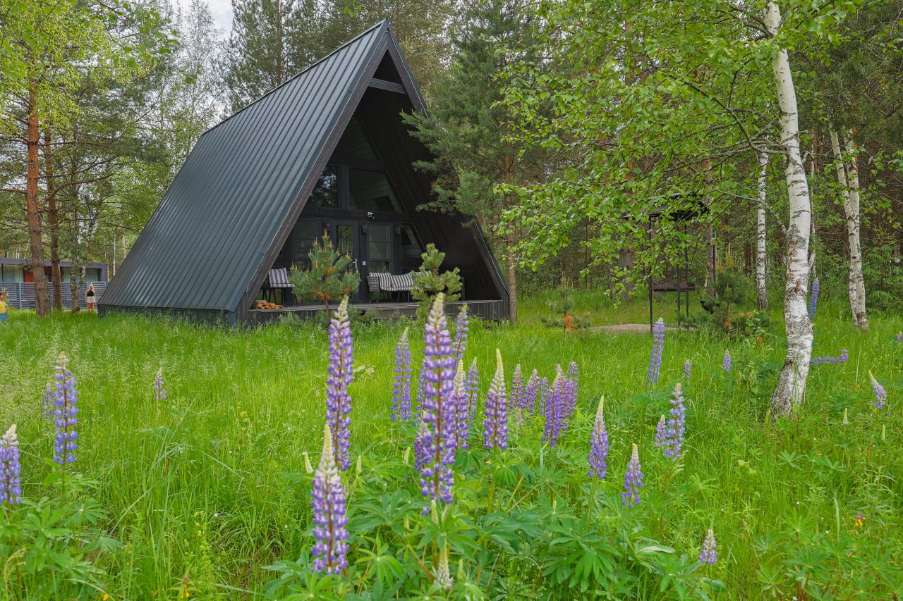 Дом (A-Frame № 15 (с камином без купели)), База отдыха Les Holidays