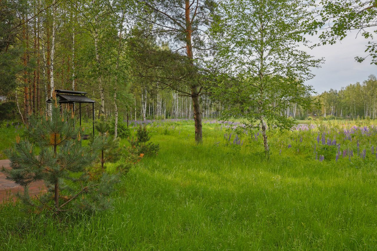 Дом (A-Frame № 15 (с камином без купели)), База отдыха Les Holidays