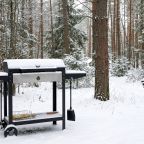 Коттедж (BarnHouse №20 (c камином без купели)), База отдыха Les Holidays