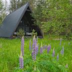 Дом (A-Frame № 15 (с камином без купели)), База отдыха Les Holidays