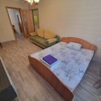 Жильё полностью ваше, Апартаменты Двухкомнатные на Гагарина