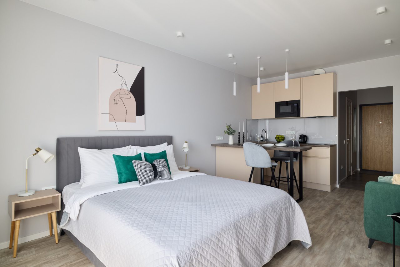 Квартира (RoomyRoom АМБАССАДОР), Апартаменты RoomyRoom Pionerskaya