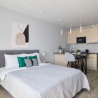 Квартира (RoomyRoom АМБАССАДОР), Апартаменты RoomyRoom Pionerskaya