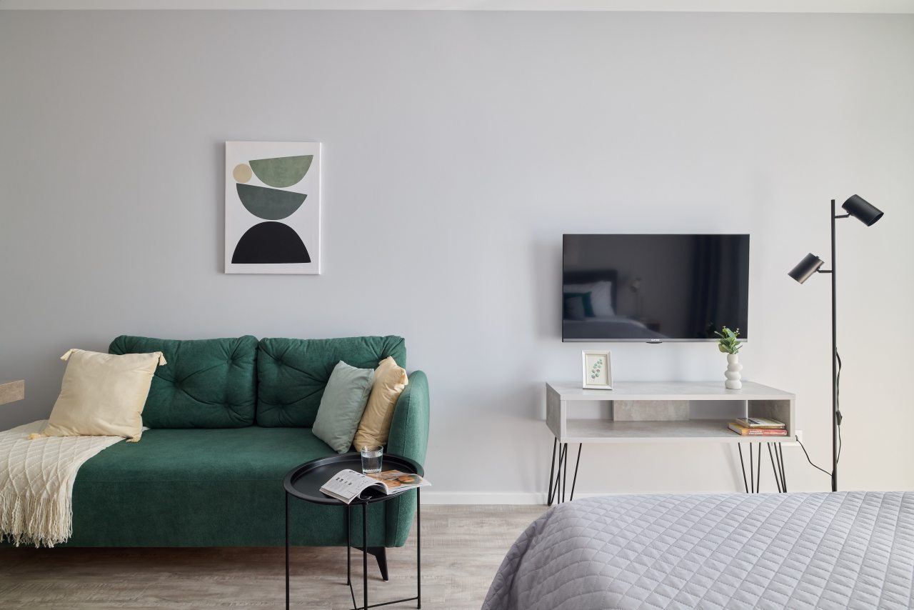 Квартира (RoomyRoom АМБАССАДОР), Апартаменты RoomyRoom Pionerskaya