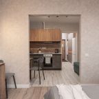 Квартира (RoomyRoom Софи), Апартаменты RoomyRoom у м. Пионерская