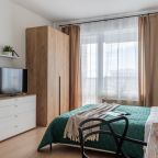 Апартаменты (RoomyRoom Forest Glade), Апартаменты RoomyRoom Moskovskaya