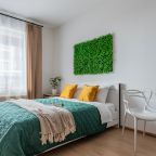 Апартаменты (RoomyRoom Forest Glade), Апартаменты RoomyRoom Moskovskaya