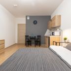 Апартаменты (RoomyRoom City Lights), Апартаменты RoomyRoom Moskovskaya