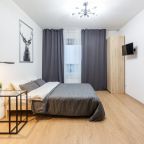 Апартаменты (RoomyRoom City Lights), Апартаменты RoomyRoom Moskovskaya