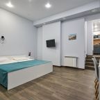 Студио (Студия с мини кухней, с фальш-окном.), Отель Театральный