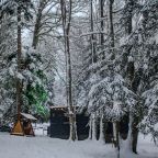 Объект находится в лесу, База отдыха Azzam