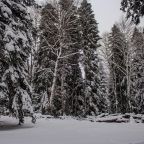 Объект находится в лесу, База отдыха Azzam