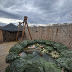 Фито-чан, Глэмпинг Apparadise Glamping&Spa